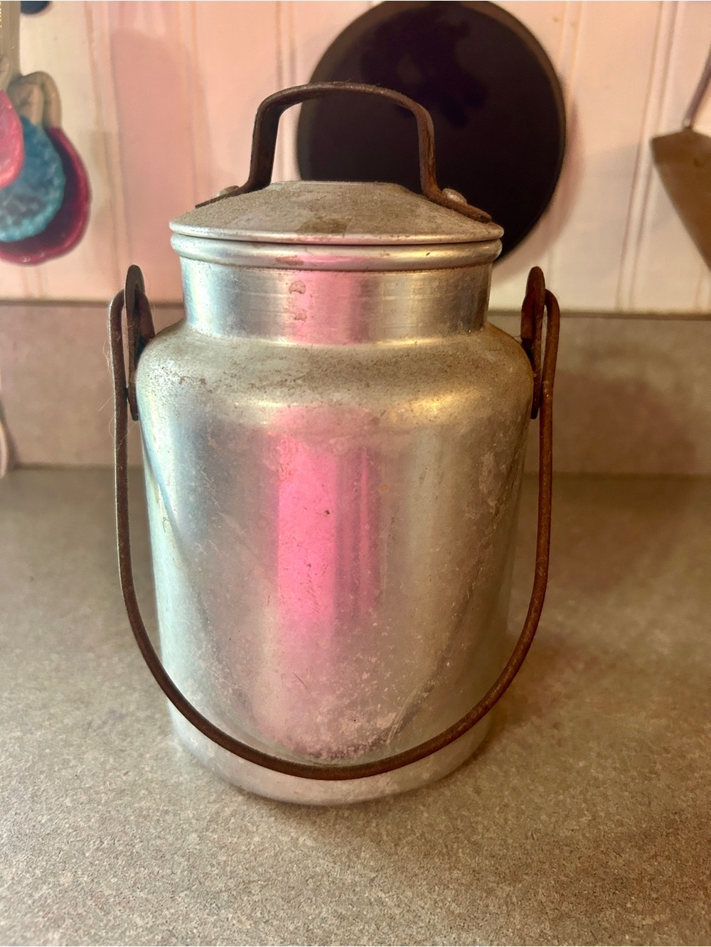 Vintage-Style Metal Storage Canister with Handle - Silver